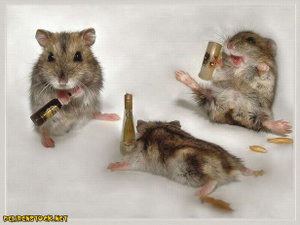 champagne??