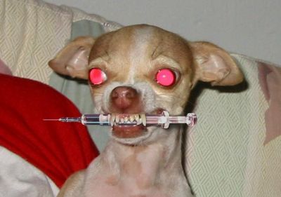 Piqure