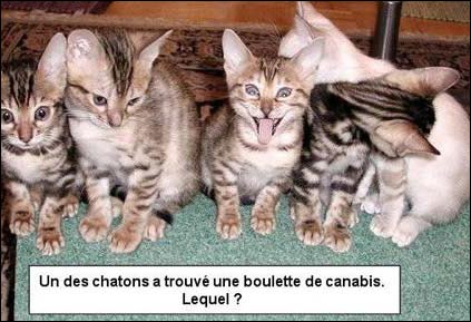 Mister et boule de gome!!!