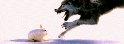 Méchant lapin
