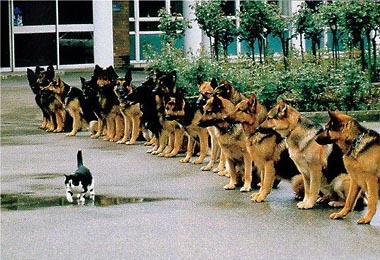 Calme!!!!!!!!!!!!