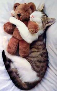 doudou
